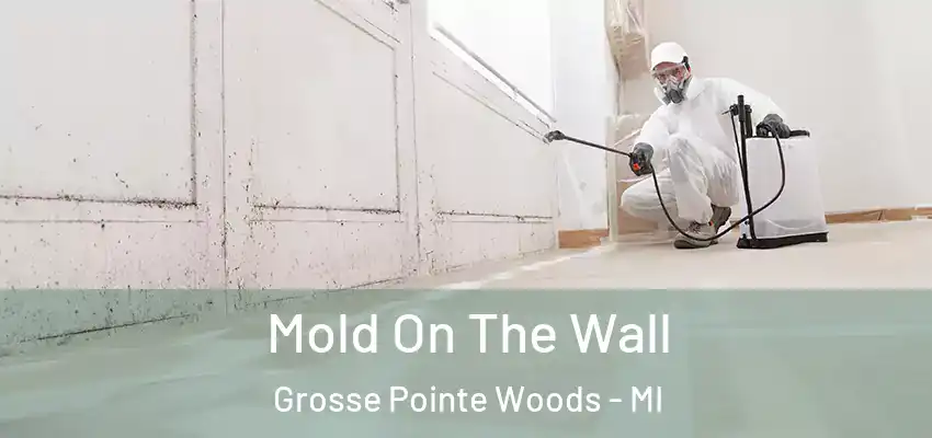  Mold On The Wall Grosse Pointe Woods - MI