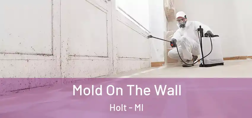  Mold On The Wall Holt - MI