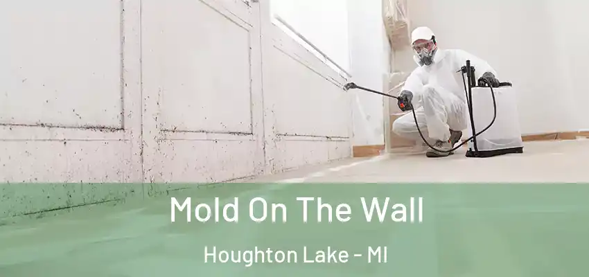  Mold On The Wall Houghton Lake - MI
