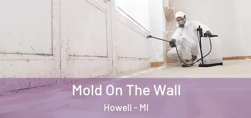  Mold On The Wall Howell - MI