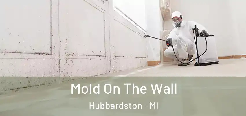  Mold On The Wall Hubbardston - MI