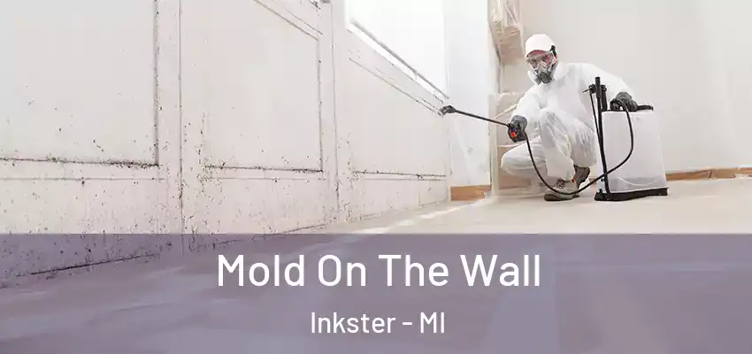  Mold On The Wall Inkster - MI