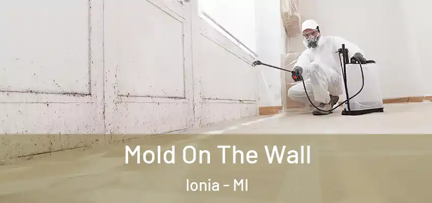  Mold On The Wall Ionia - MI