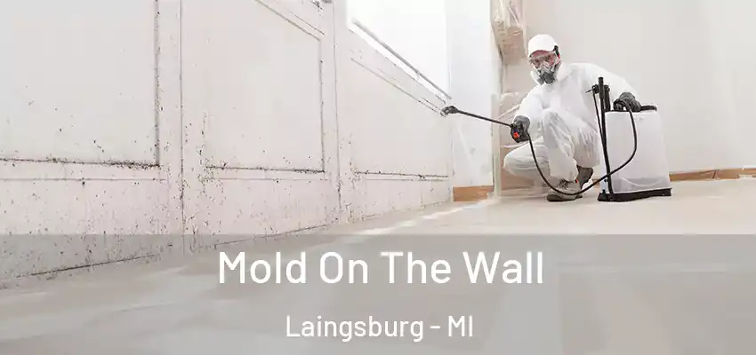  Mold On The Wall Laingsburg - MI