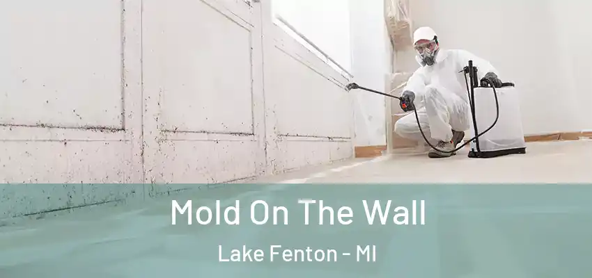  Mold On The Wall Lake Fenton - MI