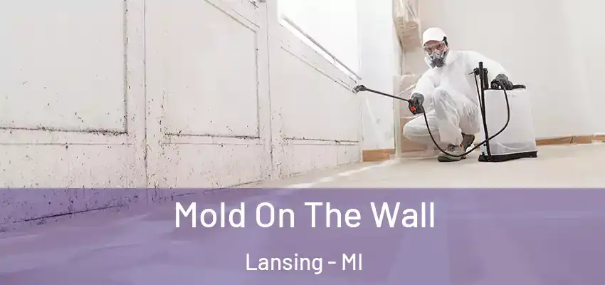  Mold On The Wall Lansing - MI