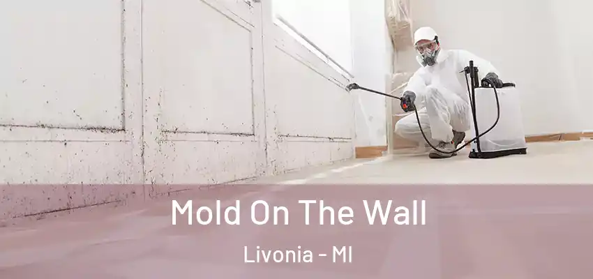  Mold On The Wall Livonia - MI