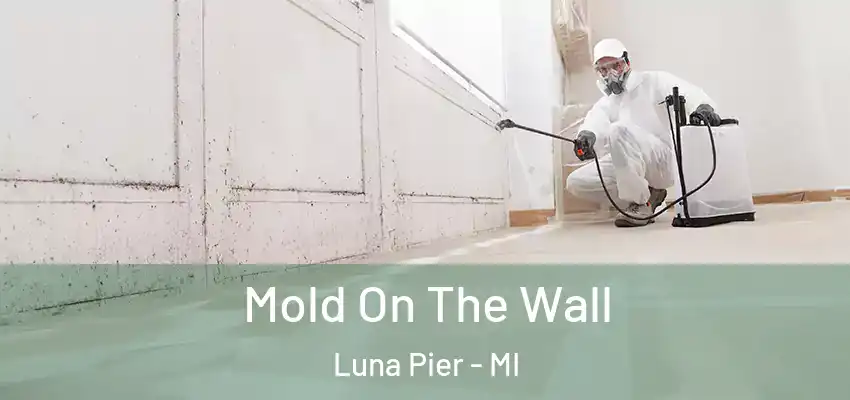  Mold On The Wall Luna Pier - MI