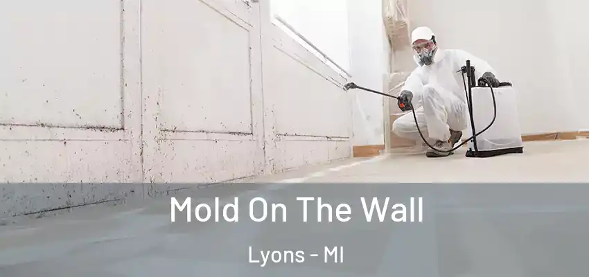  Mold On The Wall Lyons - MI