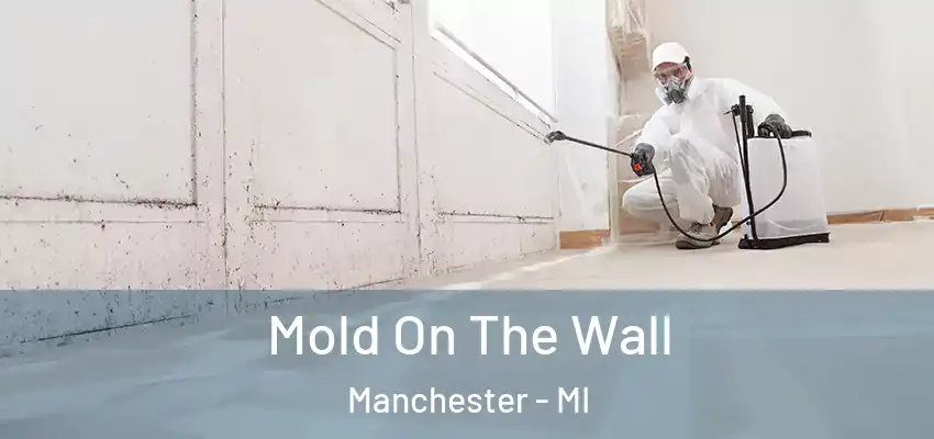  Mold On The Wall Manchester - MI
