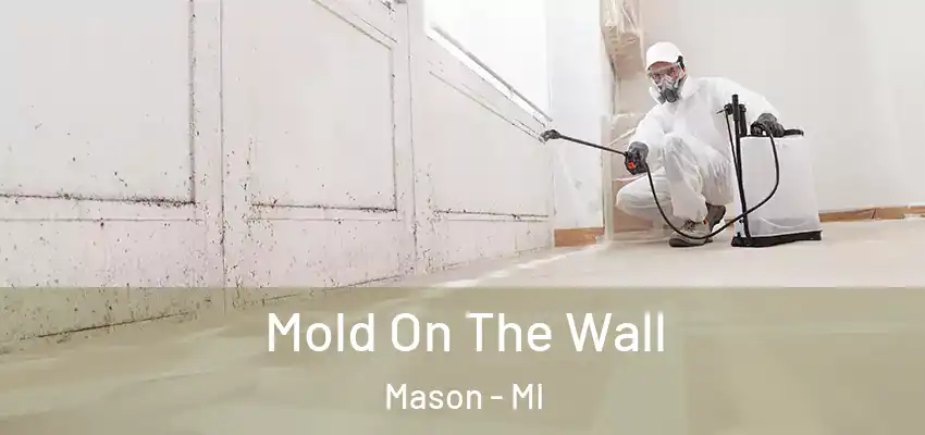  Mold On The Wall Mason - MI