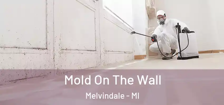  Mold On The Wall Melvindale - MI