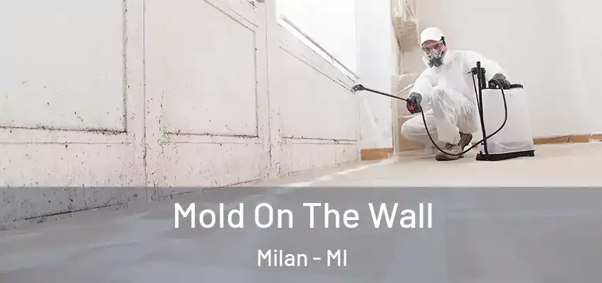  Mold On The Wall Milan - MI