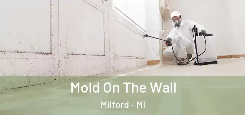  Mold On The Wall Milford - MI