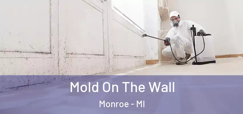  Mold On The Wall Monroe - MI