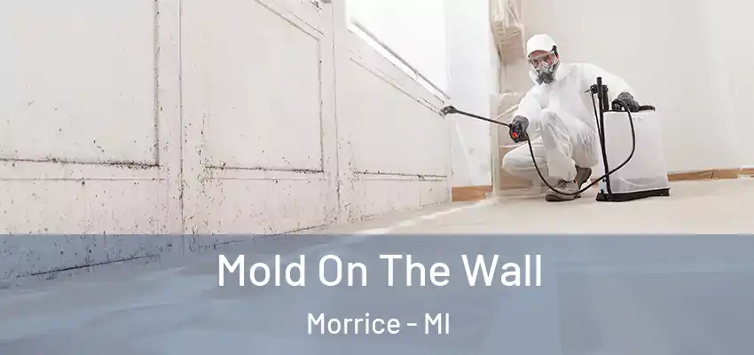  Mold On The Wall Morrice - MI