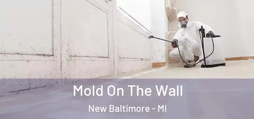  Mold On The Wall New Baltimore - MI