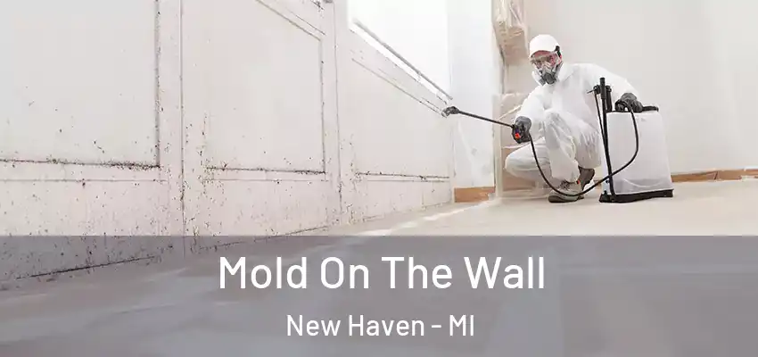  Mold On The Wall New Haven - MI