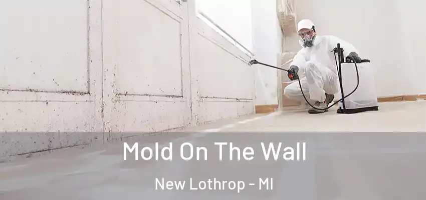  Mold On The Wall New Lothrop - MI