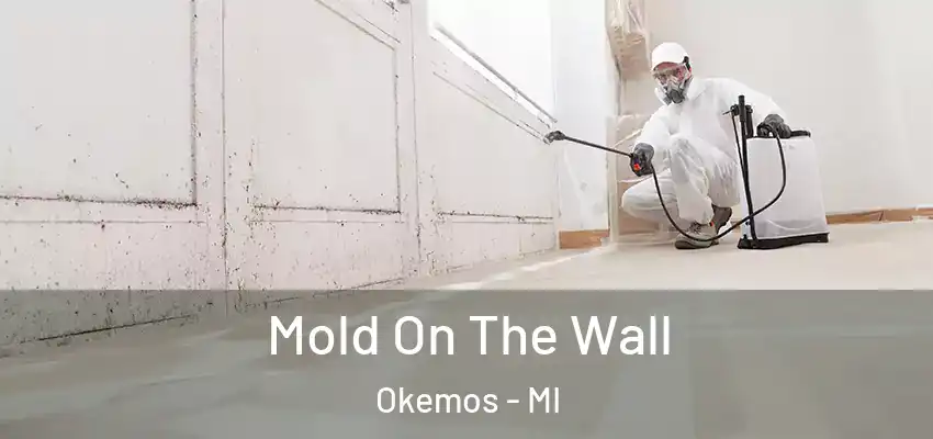  Mold On The Wall Okemos - MI