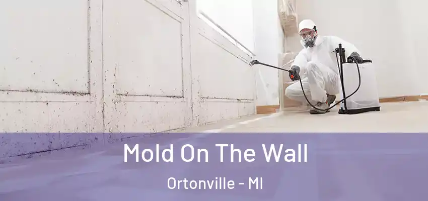  Mold On The Wall Ortonville - MI