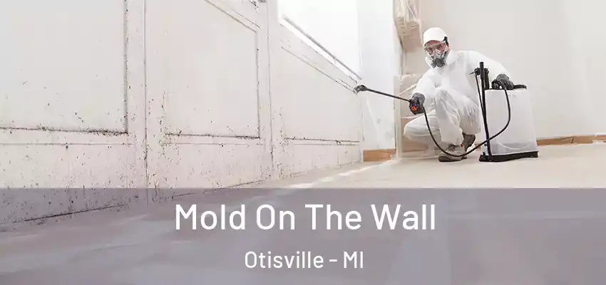 Mold On The Wall Otisville - MI