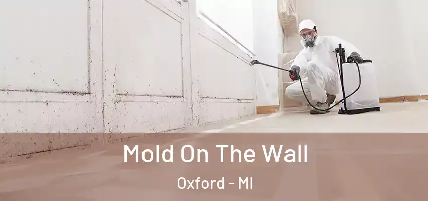  Mold On The Wall Oxford - MI