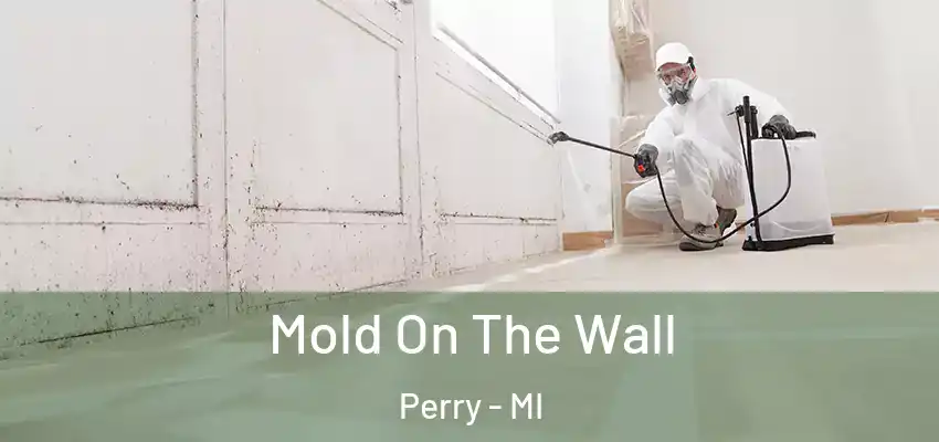  Mold On The Wall Perry - MI