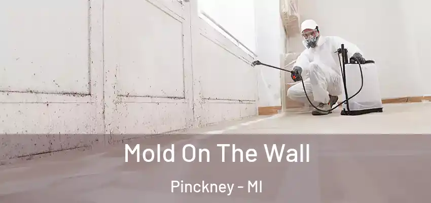  Mold On The Wall Pinckney - MI