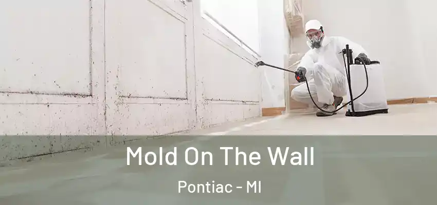  Mold On The Wall Pontiac - MI