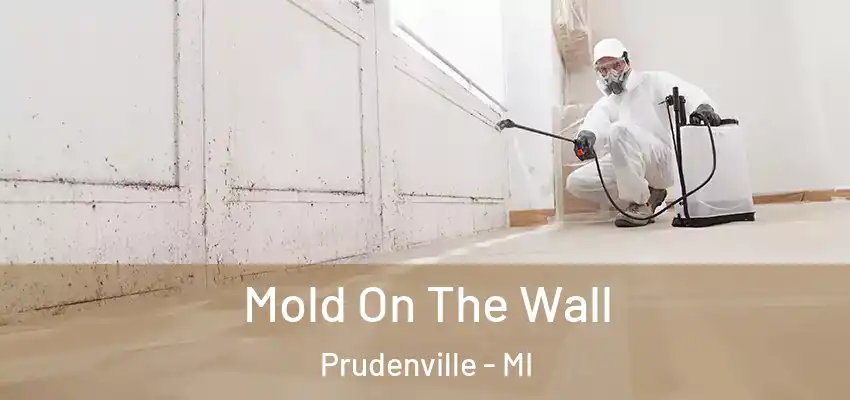  Mold On The Wall Prudenville - MI