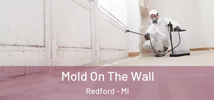  Mold On The Wall Redford - MI