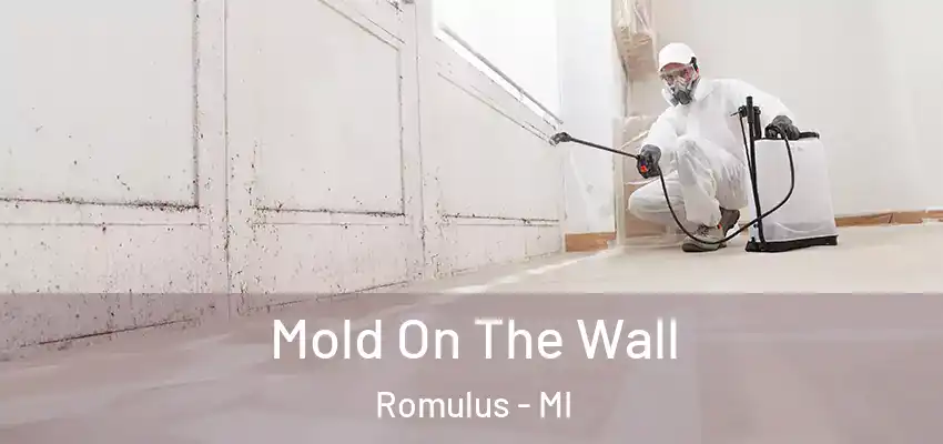  Mold On The Wall Romulus - MI