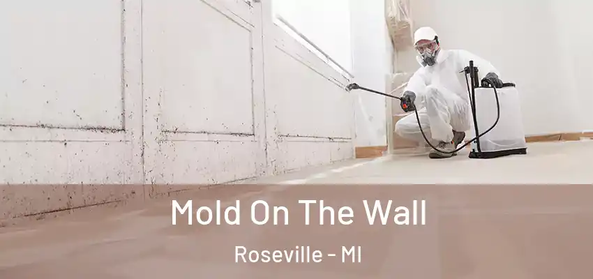  Mold On The Wall Roseville - MI
