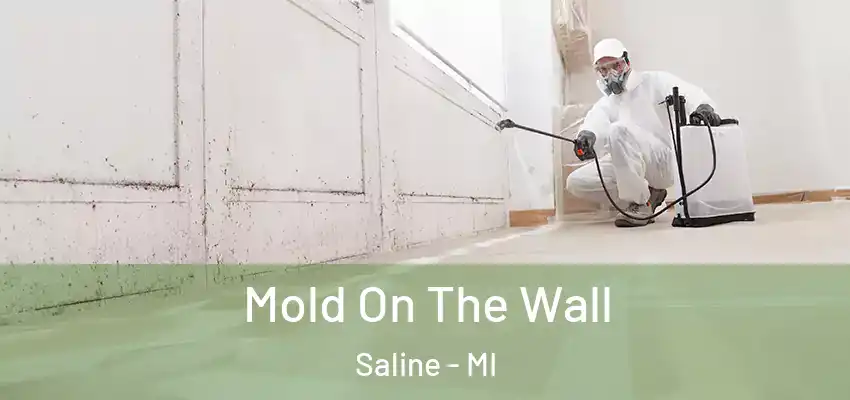  Mold On The Wall Saline - MI