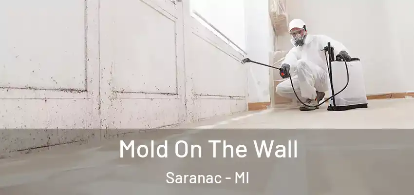  Mold On The Wall Saranac - MI