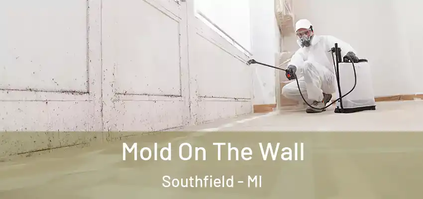  Mold On The Wall Southfield - MI