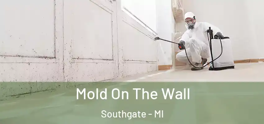  Mold On The Wall Southgate - MI
