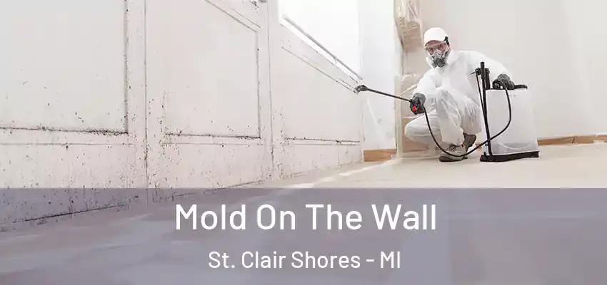  Mold On The Wall St. Clair Shores - MI