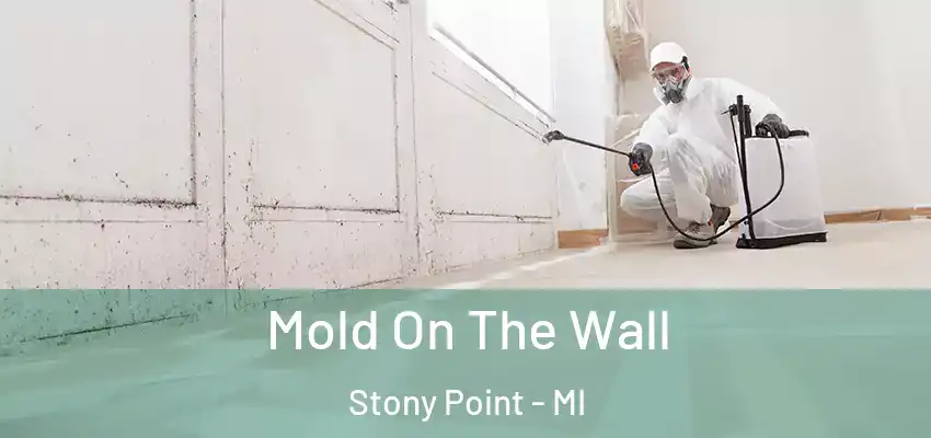  Mold On The Wall Stony Point - MI