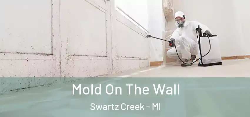  Mold On The Wall Swartz Creek - MI