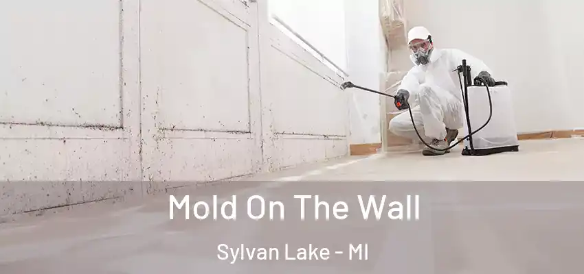  Mold On The Wall Sylvan Lake - MI