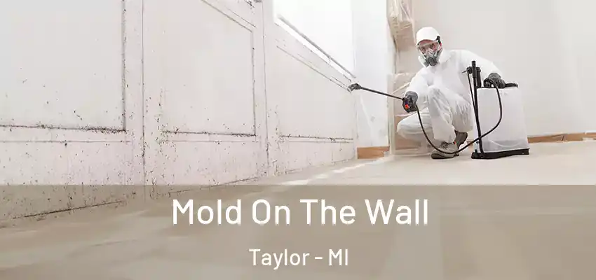  Mold On The Wall Taylor - MI