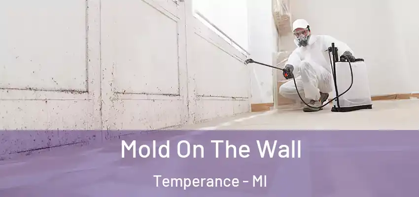  Mold On The Wall Temperance - MI