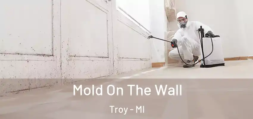  Mold On The Wall Troy - MI