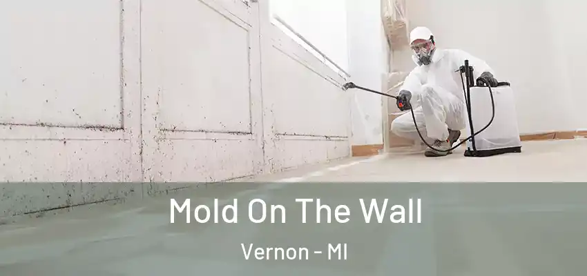  Mold On The Wall Vernon - MI