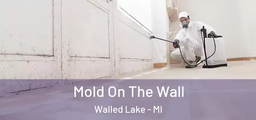  Mold On The Wall Walled Lake - MI