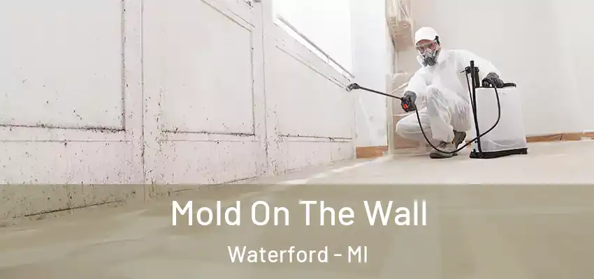  Mold On The Wall Waterford - MI
