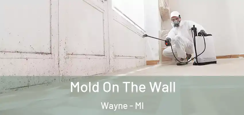  Mold On The Wall Wayne - MI