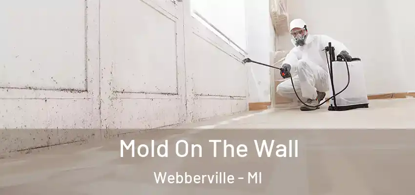  Mold On The Wall Webberville - MI